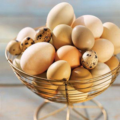 trứng giúp tăng chiều cao