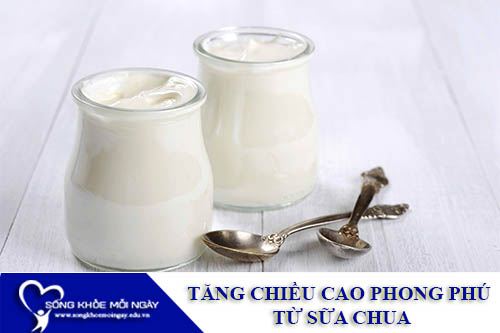 Thực Đơn Tăng Chiều Cao Phong Phú Từ Sữa Chua
